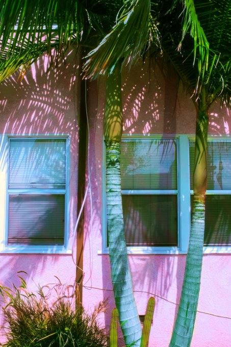 A photograph of a pink building facade with turquoise window frames and palm tree shadows cast across it, featuring green palm tree trunks in the foreground.