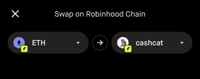 A dark-themed swap interface titled 'Swap on Robinhood Chain' showing a token exchange between ETH and 'cashcat'.