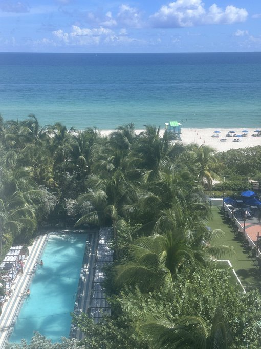 An elevated view of a tropical resort featuring a long rectangular swimming pool, palm trees, a beach with umbrellas, and a turquoise ocean under a bright blue sky with scattered clouds.