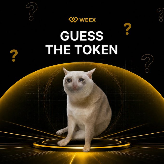 A white cat sits on a glowing golden platform against a dark background, beneath the "WEEX" logo and the bold text "GUESS THE TOKEN," surrounded by floating question marks—prompting followers to identify the cat-themed cryptocurrency in a WEEX quiz giveaway for a share of 50 USDT.
