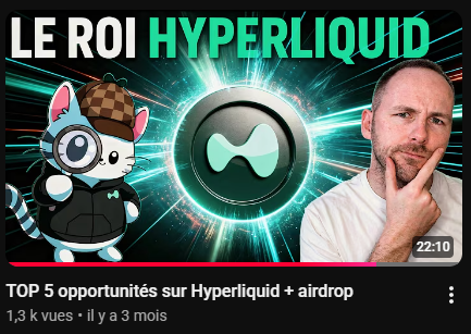 A YouTube thumbnail titled 'LE ROI HYPERLIQUID' featuring a man with his hand on his chin, a Hyperliquid logo, and a cartoon cat mascot.