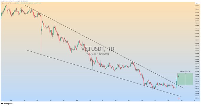 A TradingView daily candlestick chart of VET/USDT (VeChain/TetherUS) shows the cryptocurrency trending downward within a descending channel pattern, with the post noting a +30% profit currently running on the trade.