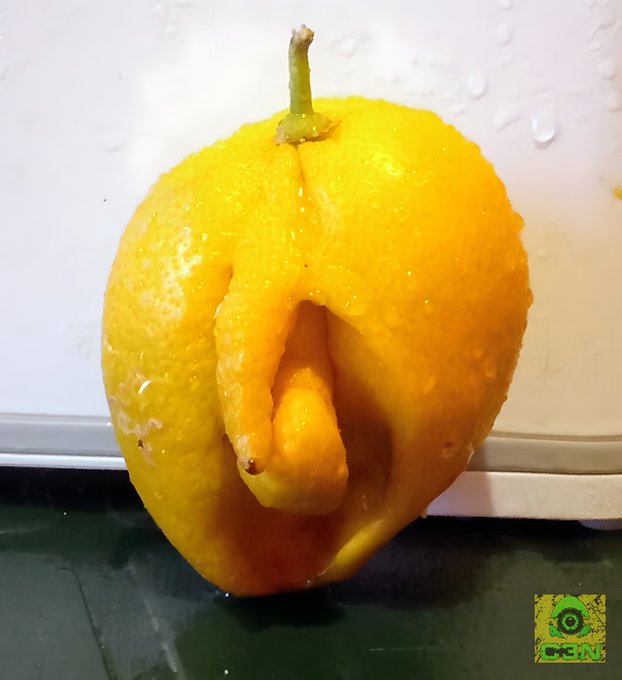 A wet yellow lemon sitting on a reflective surface with a bizarre, phallic-shaped protrusion growing from its bottom, featuring a green logo watermark in the corner.