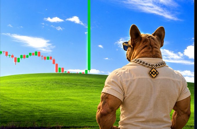 An AI-generated image of a muscular dog wearing sunglasses, a gold chain, and a polo shirt with a logo, standing with its back to the camera looking at a stock chart overlay with a large green candle on the famous Windows XP Bliss wallpaper background.