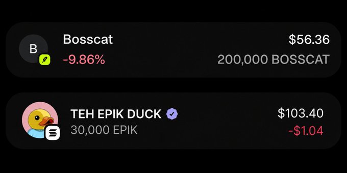 Dark-mode cryptocurrency portfolio screenshot displaying holdings for 'Bosscat' (down 9.86% at $56.36 with 200,000 BOSSCAT) and 'TEH EPIK DUCK' (at $103.40 with 30,000 EPIK, down $1.04).