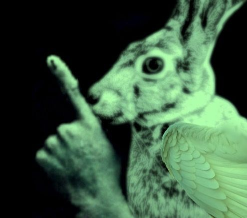 A surreal digital artwork depicting a hybrid creature with a rabbit's head and body but an owl's wing, tinted in green, holding up a finger.
