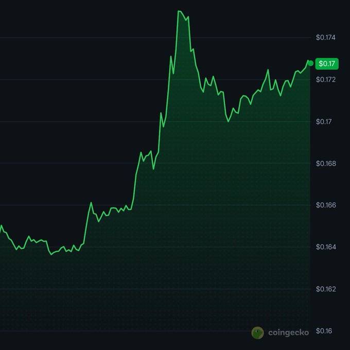 A CoinGecko price chart showing a cryptocurrency's price climbing from around $0.164 to $0.173, peaking near $0.174 before settling at approximately $0.17.