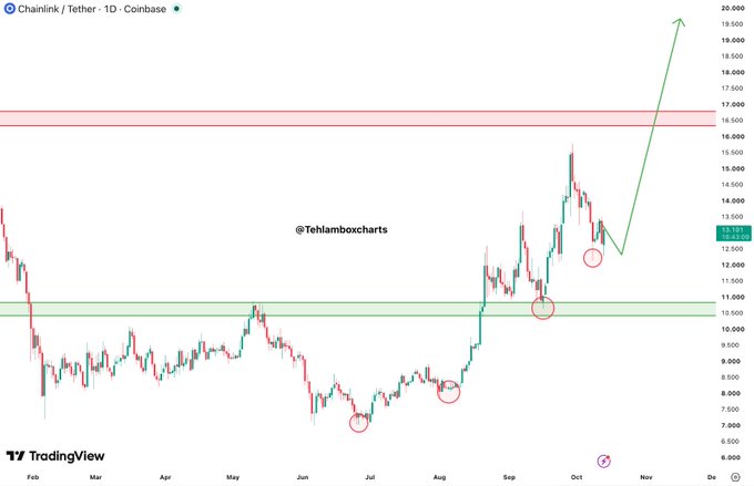A TradingView candlestick chart of Chainlink/Tether (LINK/USDT) on Coinbase showing price action from February through December, with a green arrow projecting an upward target around $19,500, marked with circled support/resistance zones and a red zone near $17,000.