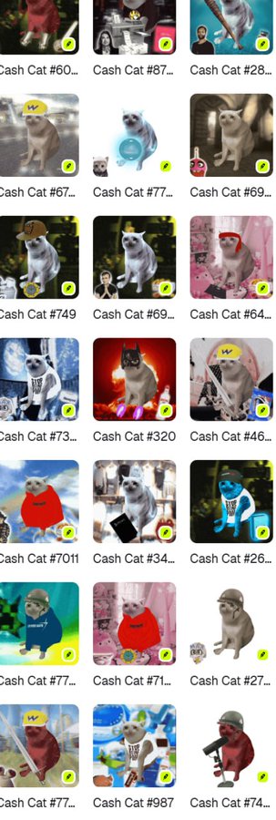Grid of 'Cash Cat' NFT thumbnails featuring a white cat in various poses and outfits, with numbered identifiers like #60, #87, #28, #67, #77, #69, #749, #73, #320, #46, #7011, #34, #26, #77, #71, #27, #987, and #74.