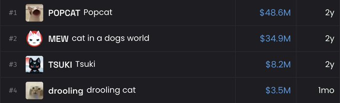 A leaderboard displays the top four cat memecoins on Solana by market cap: POPCAT ($48.6M, 2y), MEW ($34.9M, 2y), TSUKI ($8.2M, 2y), and DROOLING ($3.5M, 1mo), illustrating how DROOLING is highlighted as the only newcomer breaking into a ranking otherwise dominated by 2-year-old survivors from the previous cycle.