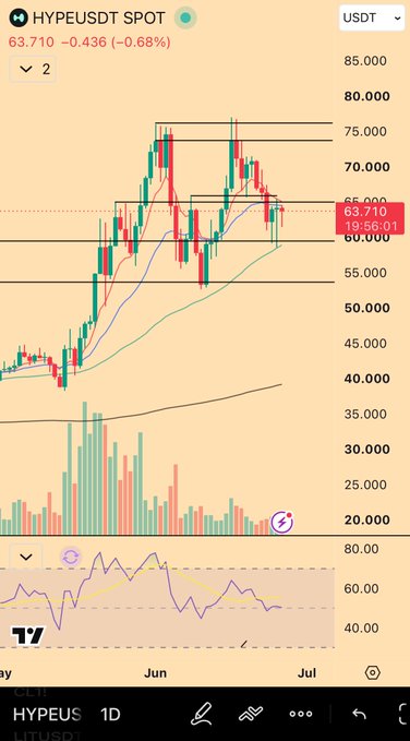A TradingView 1D candlestick chart of HYPE/USDT showing a current price of 63.710, down 0.68%, with multiple consecutive lower wicks near the 60-65 support zone, illustrating the post's concern about the token's failure to reclaim its uptrend. The RSI below also shows weakening momentum, reinforcing the bearish reversal concern highlighted in the caption.
