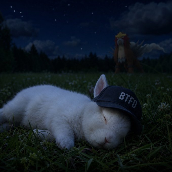 A white rabbit wearing a black 'BTFD' cap sleeps peacefully in a grassy field at night, with what appears to be an Entei Pokémon in the background.