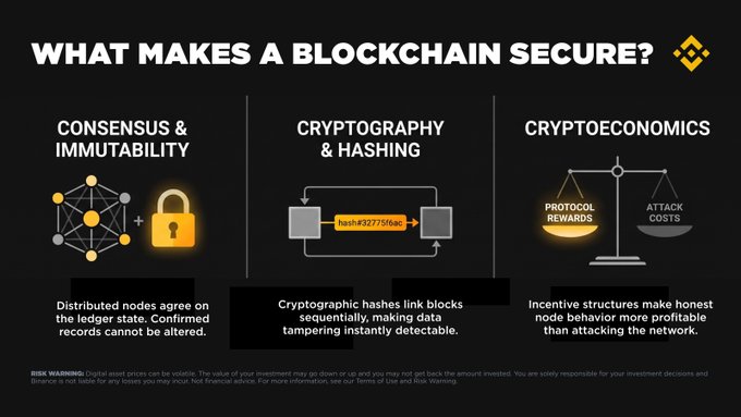 The image, titled "What Makes a Blockchain Secure?", breaks down three pillars of blockchain security—Consensus & Immutability (distributed nodes agreeing on the ledger), Cryptography & Hashing (showing a block hash of "hash #527756ab" linking blocks sequentially), and Cryptoeconomics (a scale balancing protocol rewards against attack costs)—visually reinforcing the post's discussion of how Ravencoin's potential four-day transaction rollback tests these very principles.