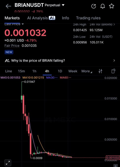 A cryptocurrency trading interface for BRIANUSDT Perpetual showing the token's price at 0.001032 with a -4.79% decline, featuring a candlestick chart indicating a sharp price drop.