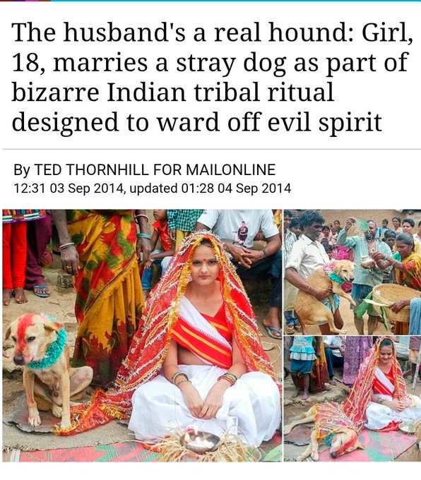 A screenshot of a Daily Mail article titled "The husband's a real hound: Girl, 18, marries a stray dog as part of bizarre Indian tribal ritual designed to ward off evil spirit" by Ted Thornhill (dated Sep 3, 2014), showing photos of an 18-year-old Indian bride in traditional red and white wedding attire sitting beside a stray dog during the ceremony—used to mock religious/cultural hypocrisy in crypto debates by contrasting strict religious taboos with accepted cultural practices.