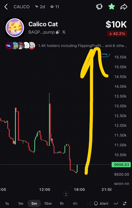 A crypto chart for 'Calico Cat' (BAQP...pump) showing a price of $10K with a 42.2% drop, featuring a hand-drawn yellow arrow pointing upward.