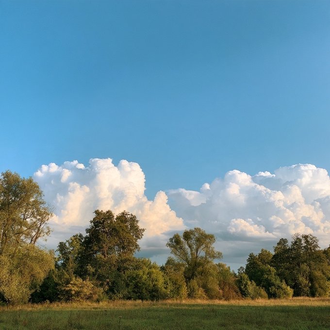 A serene landscape photograph showing a line of green trees beneath a blue sky filled with large, billowing white cumulus clouds.