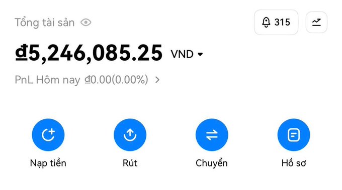 The screenshot displays a Vietnamese cryptocurrency trading account showing a total balance of ₫5,246,085.25 VND with zero PnL for the day, along with 315 notifications and options to deposit (Nạp tiền), withdraw (Rút), transfer (Chuyển), and view profile (Hồ sơ).

The image relates to the post by illustrating the bleak economic reality described—the small Vietnamese dong balance and flat 0.00% daily PnL visually reinforce the KOL's lament about dwindling crypto earnings and the disappearance of web3 income opportunities.