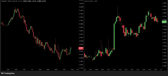 The image displays two candlestick charts side by side: the left chart shows AVAX/USD trading around $24.75 with a downtrend, while the right chart shows Cash Cat (CASH) trading around $0.0000170 on the USDC pair, both showing recent price action that illustrates the post's theme of capital rotation between different assets like $AVAX, $CASHCAT, and $ANSEM.