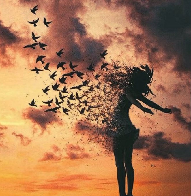 An artistic silhouette of a woman dissolving into a flock of black birds against a dramatic orange sunset sky.