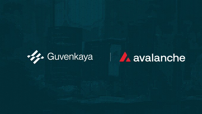 Teal background displaying logos for 'Guvenkaya' and 'avalanche' side by side.