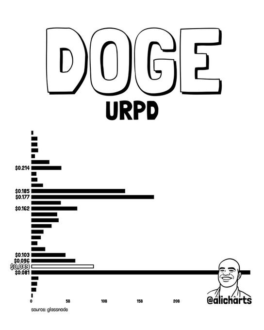 The image shows an infographic with a chart displaying the number of Dogecoin tokens that have been transacted at different levels. The graph is primarily black and white, and there's a person's face displayed as a part of the infographic. The chart indicates the amount of money spent on coins, ranging from $0.081 to over $0.1 million. The image also contains some text that reads "Doge", "URPD", and "DOGE".