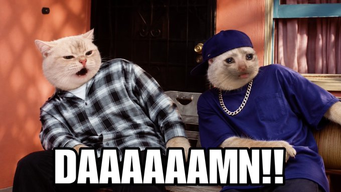 A meme image showing two cats with human bodies sitting on a bench; the left cat appears shocked with mouth open, wearing a plaid shirt, while the right cat wears a backwards blue cap, blue shirt, and gold chain, with the caption 'DAAAAAAMN!!'.
