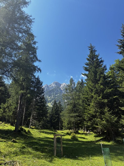 A scenic landscape view shows green grassy fields, tall pine trees, and rocky mountains under a clear blue sky.