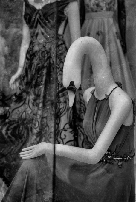 A surreal black-and-white photograph of a woman in an elegant dress with an impossibly elongated, curved neck bending down, reminiscent of the artwork of Salvador Dalí.