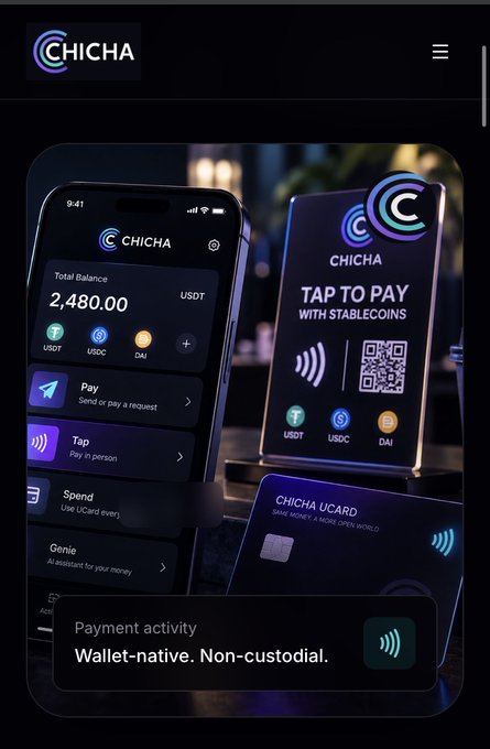 A promotional mobile interface for CHICHA shows a digital wallet with a USDT balance of 2,480.00, featuring 'Tap to Pay with Stablecoins' options for USDT, USDC, and DAI.