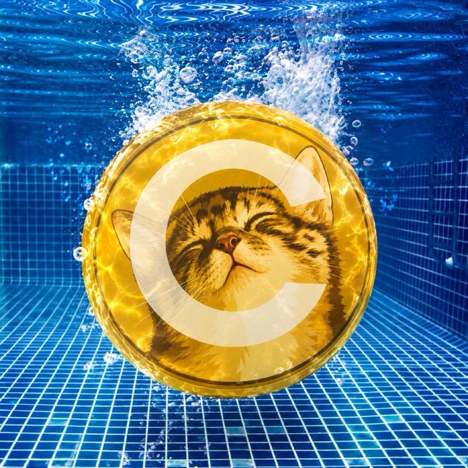 A watermark featuring a stylized "C" logo overlays an underwater image of a tabby kitten peacefully sleeping inside a yellow floatie ring, with bubbles rising around it in a blue-tiled pool.
