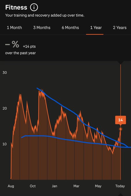 A Strava 'Fitness' graph showing a -14% decline over the past year, with an orange fluctuating line and a smooth blue trend line declining from August to Today.