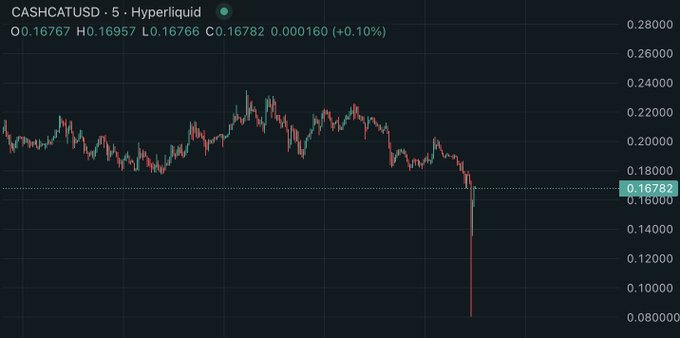 A 5-minute candlestick chart of $CASHCATUSD on Hyperliquid shows a sharp downside wick plunging to roughly 0.08000 before recovering to close at 0.16782 (+0.10%), with the day's range marked between 0.16767 and 0.16957—visually illustrating the "massive long liquidation" referenced as a potential buying opportunity for the next leg up.