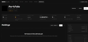 A dark-themed screenshot of a crypto portfolio tracker showing a 'Portfolio' tab and a 'Holdings' section that displays 'No rows at this address yet'.