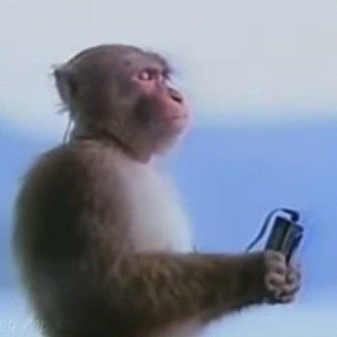 A monkey holds a card while looking upward, paired with a post announcing a $7000 $ANSEM airdrop giveaway by @mystayor with 35 winners, where the monkey's skeptical expression humorously reflects doubt about the legitimacy of the crypto giveaway.