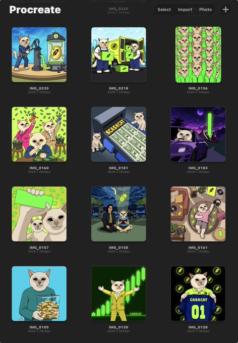 A Procreate gallery showcasing 12 meme illustrations featuring a white cat character, labeled IMG_0160, IMG_0168, IMG_0161, IMG_0167, IMG_0218, IMG_0181, IMG_0183, IMG_0235, IMG_0156, IMG_0105, IMG_0130, and IMG_0128, depicting various scenes including a "SCAMS" machine printing money, trading charts, and a cat wearing a "CASHCAT 01" jersey, which align with the post congratulating @SylentHash for winning 2nd place in a Cash Cat meme contest.