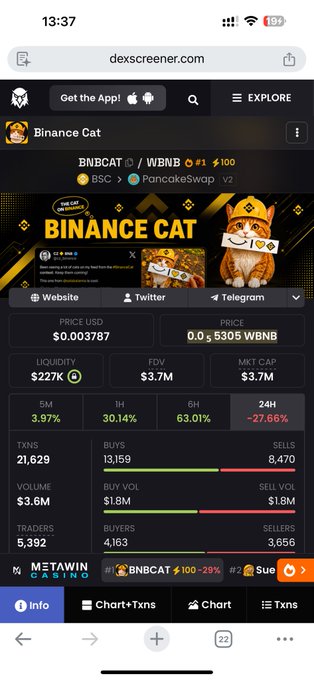 A Dexscreener mobile view showing "Binance Cat" (BNBCAT) token data on PancakeSwap v2, with a price of $0.003787 USD and a market cap of $3.7M.