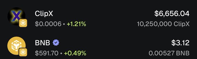 Cryptocurrency trading interface displaying ClipX at $0.0006 (+1.21%) valued at $6,656.04 for 10,250,000 ClipX, and BNB at $591.70 (+0.49%) at $3.12 per 0.00527 BNB.
