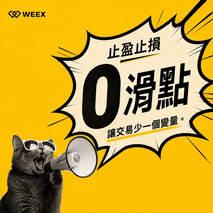 A WEEX promotional graphic on a yellow background shows a cat wearing sunglasses shouting into a megaphone, with Chinese text '止盈止损' and '0滑點' displayed prominently.