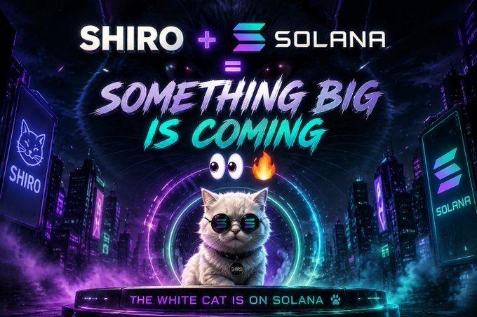 A promotional graphic featuring a white cat wearing "SHIRO" sunglasses at the center, with the text "$SHIRO + SOLANA = SOMETHING BIG IS COMING" and "THE WHITE CAT IS ON SOLANA 🐾" displayed against a neon-lit futuristic cityscape, visually announcing the SHIRO token's launch on the Solana blockchain.