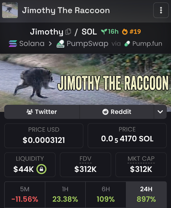A crypto token page for "Jimothy" (Jimothy The Raccoon) on the Solana blockchain via Pump.fun, showing a price of $0.0003121 USD and a 897% 24H gain.
