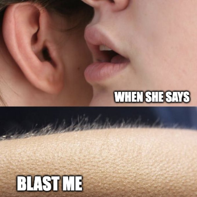 A two-panel meme with text 'WHEN SHE SAYS' showing an ear near a mouth whispering, and 'BLAST ME' showing goosebumps on skin.