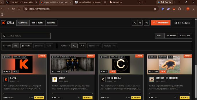 Screenshot of the Kapsa.fun NFT platform campaigns page, displaying active tweet-to-mint campaigns including KAPSA, Neegy, The Black Cat, and Jimothy The Raccoon on the Solana blockchain.