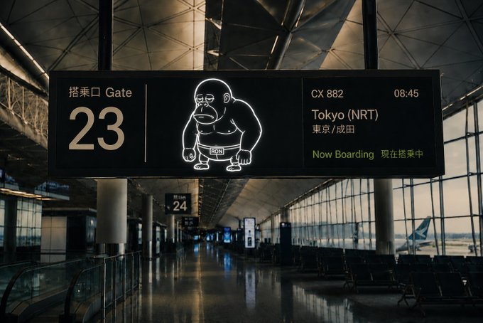 An airport gate display shows flight CX 882 to Tokyo (NRT) at 08:45, now boarding at Gate 23, with a humorous gorilla mascot wearing a 'BOK' belt between the gate number and flight information.