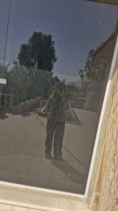 A reflection in a glass door showing the silhouette of a person taking a photograph, with trees and a landscape visible in the background.