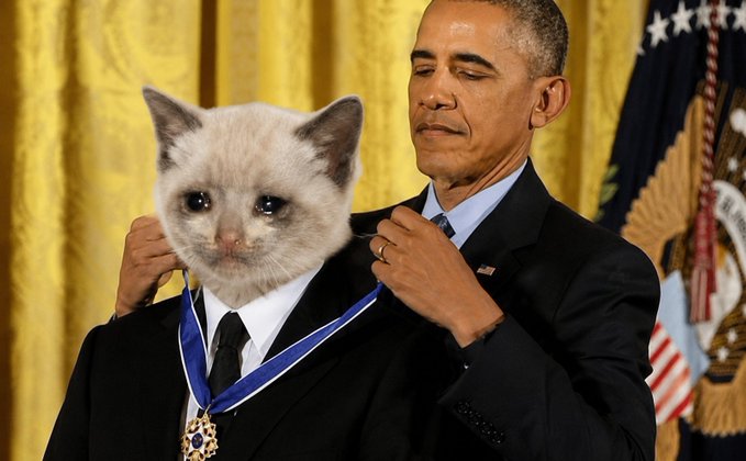 [caption-failed: flagged sensitive]