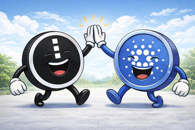 The image features two cartoon characters, a black character with white arms and legs and a blue character with white arms and legs, both smiling and giving each other high fives. The text above them reads "Cardano & Midnight Holders! We'll keep making these positive and cute posts to boost everyone' morale One day, working together, we will all definitely succeed!".