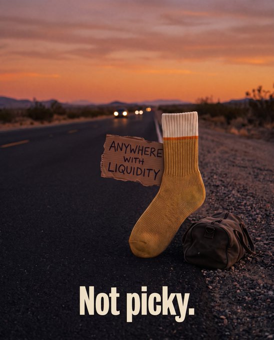 A sock stands upright on a desert road at sunset next to a cardboard sign reading "ANYWHERE WITH LIQUIDITY" and a small duffel bag, with the caption "Not picky." below.