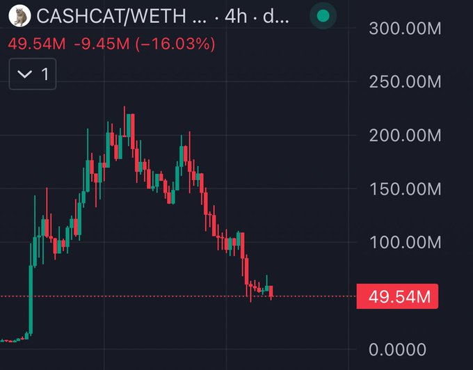 A 4-hour candlestick chart of the CASHCAT/WETH trading pair shows a steep decline from a peak around 220M down to 49.54M, marking a -16.03% drop, reflecting the poster's distress after buying what they hoped would be a scalp trade only to watch it plummet.