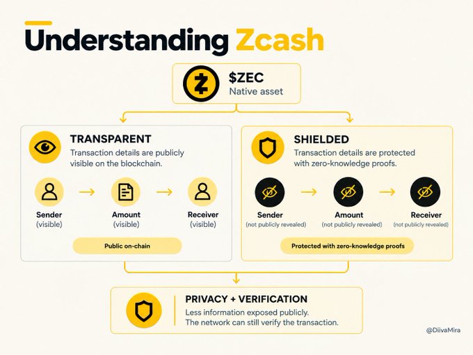 An infographic titled 'Understanding Zcash' explains the difference between Transparent and Shielded transactions for the $ZEC native asset, noting privacy and verification features.
